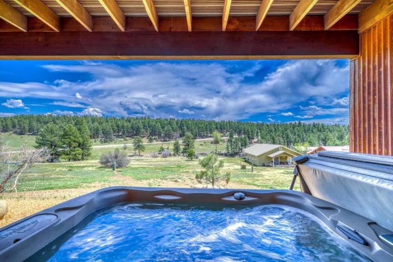 House Pagosa Springs