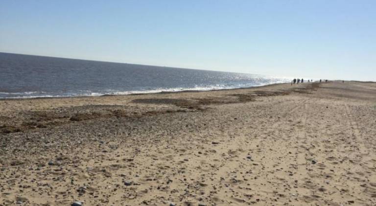 2 bed dog friendly chalet on sunbeach Scratby — photo 5