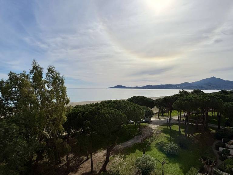 Studio cabin with private parking and pets allowed 50m from the beach - Argelès-sur-Mer — photo 5