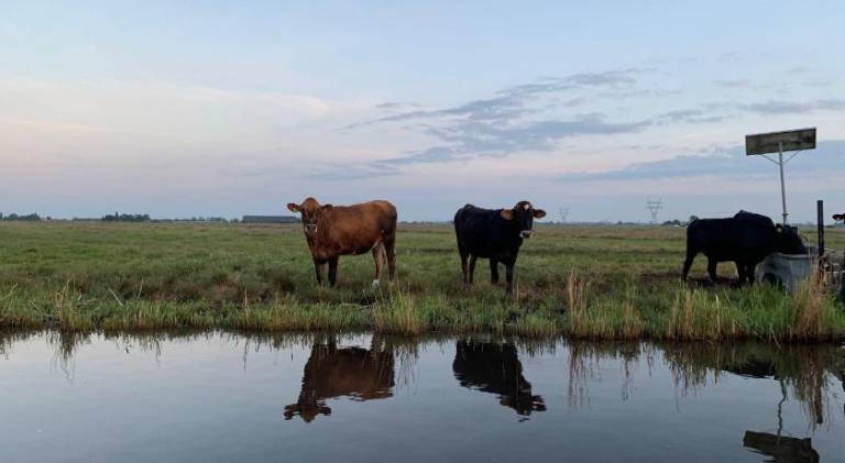 foto27