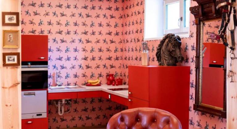 Lovely apartment | Good for workation | Dogs allowed — photo 5