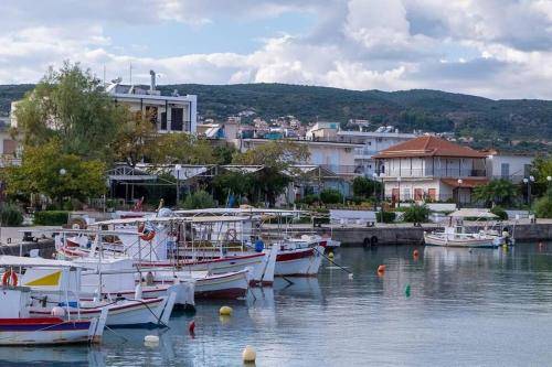 σπίτι Agios Andreas