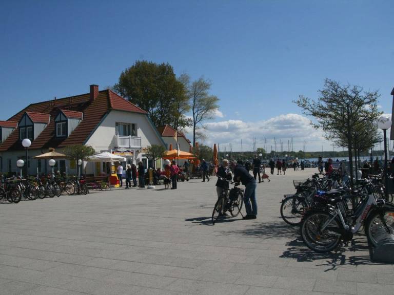 foto38