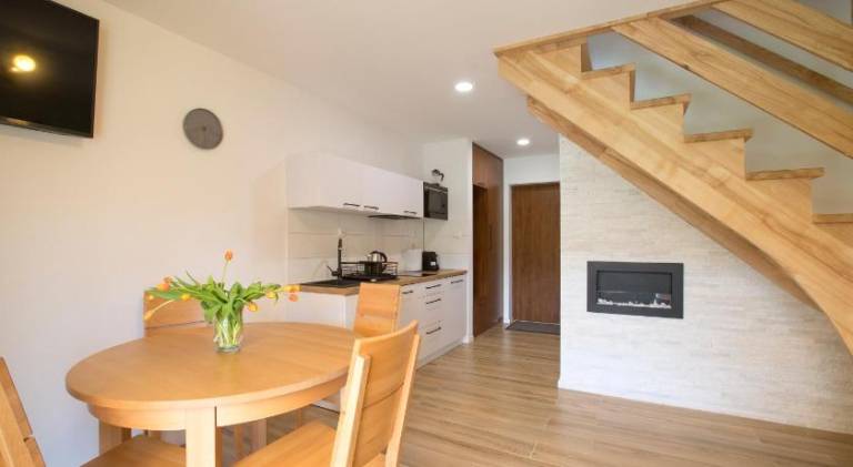 Beskid Ski Villa — photo 3