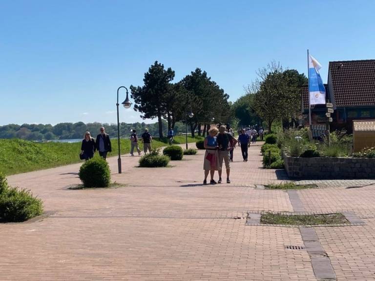 foto2