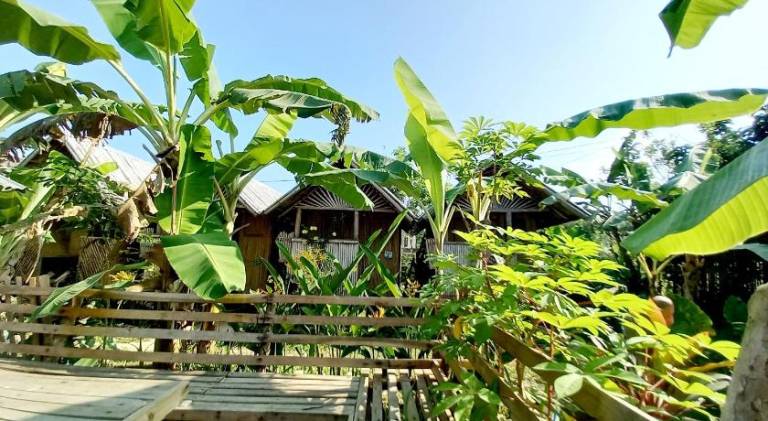 Banana Grove El Nido — photo 4