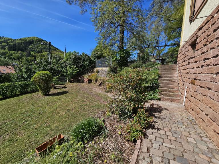 foto11