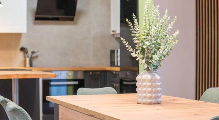 Ample rental apartment | Pets allowed — photo 4