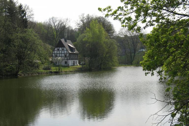 foto25