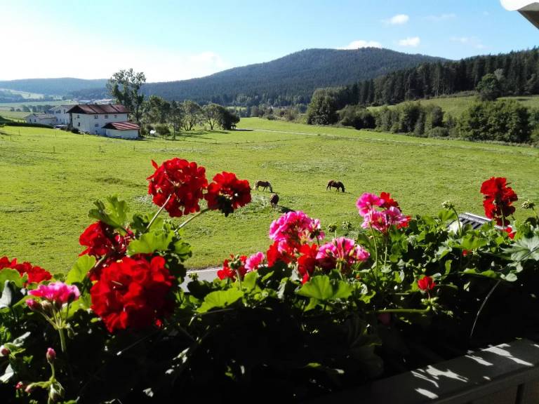 foto20