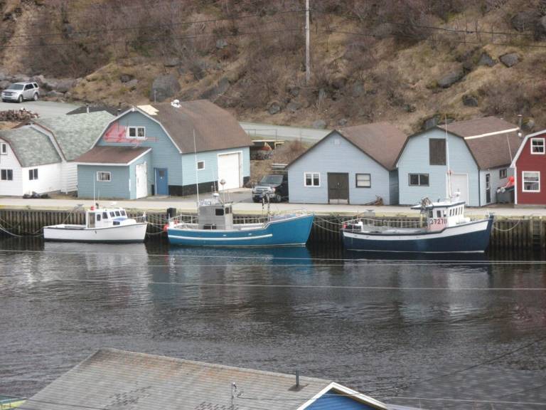 House  Petty Harbour-Maddox Cove