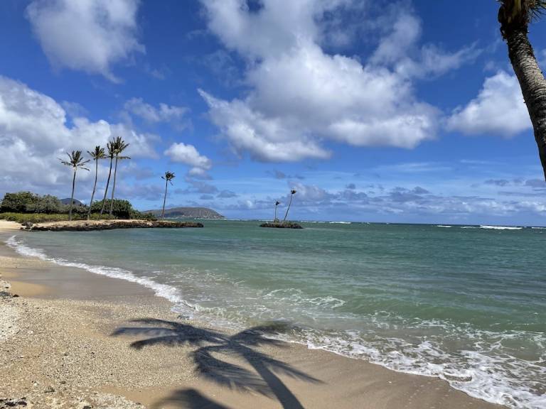 Condo Waialae - Kahala