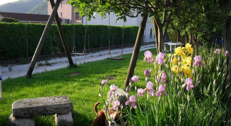 foto8