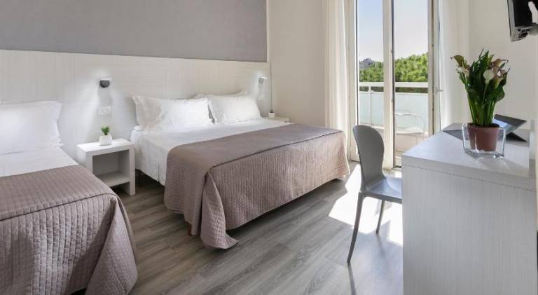 HOTEL ZANARINI in CENTRO a Riccione in Misano Adriatico