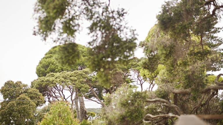 Apartment  Barwon Heads
