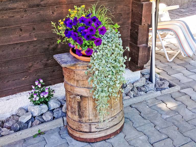 foto26