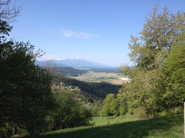 foto41