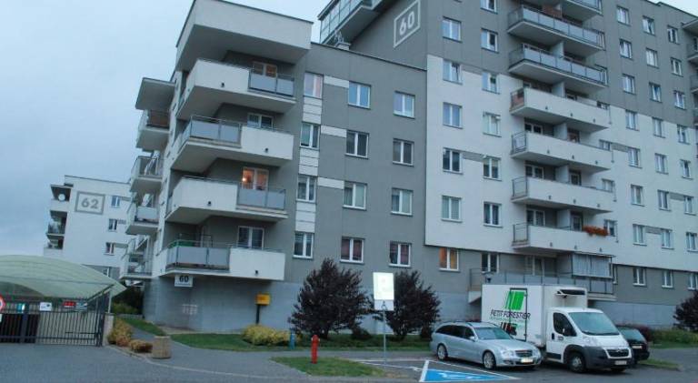 Wonderful holiday apartment | Dogs allowed — photo 4