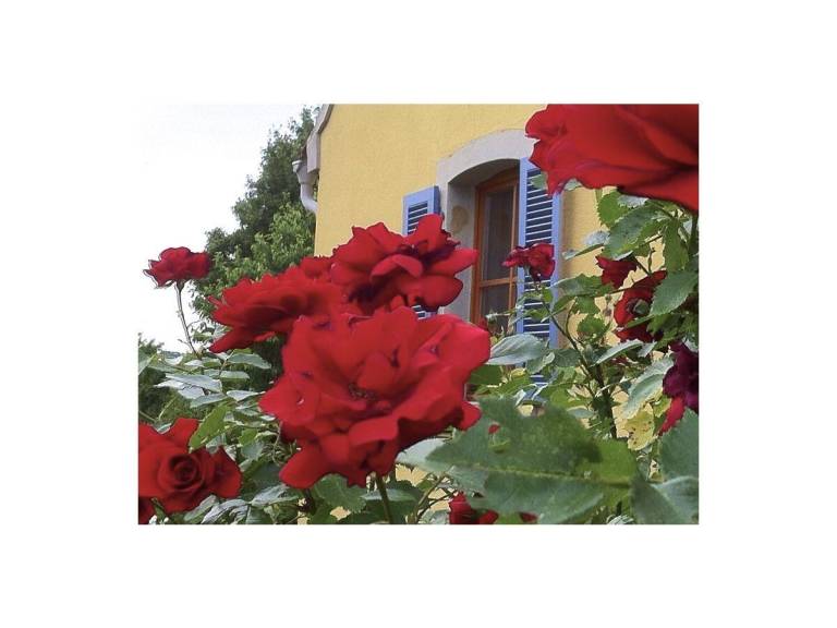 foto21