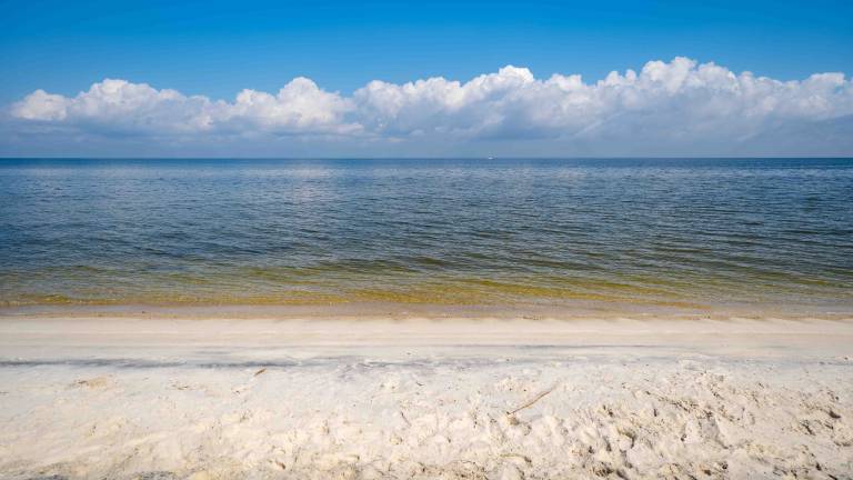 Seas the Day - 2830 Bienville Blvd — photo 5