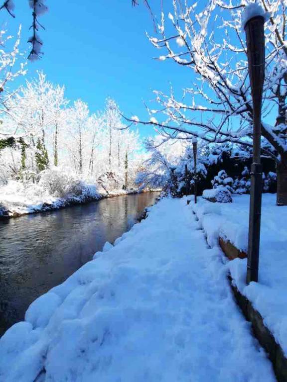 Between town and country - garden with river — photo 5