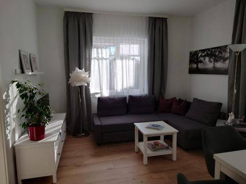 foto21
