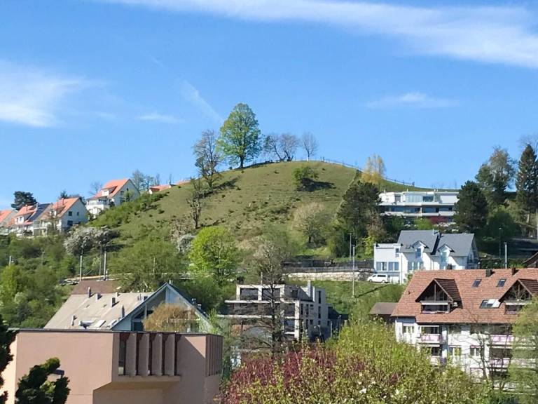 foto10