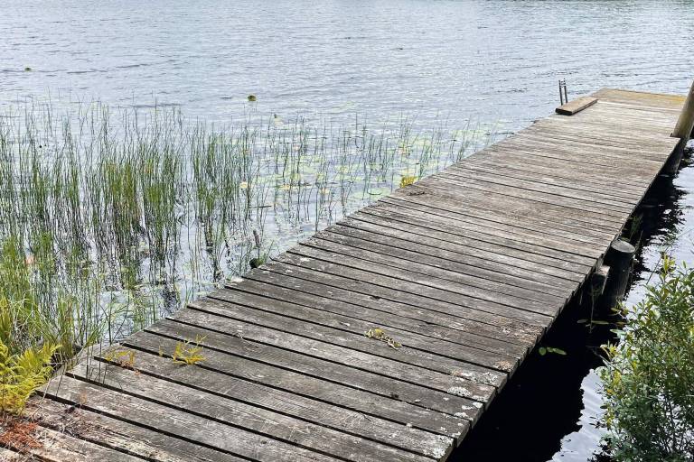 foto11