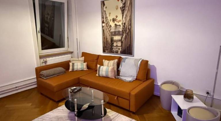 Chill and Tranquil in St Johann near Novartis Campus — photo 2