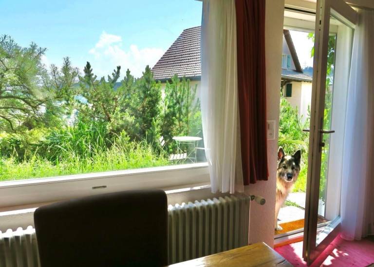 Ferienwohnung Wald