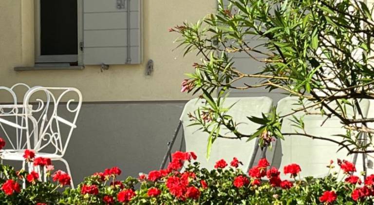 Acero Giallo — photo 3