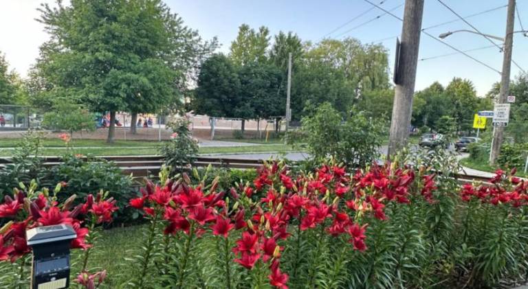 foto19