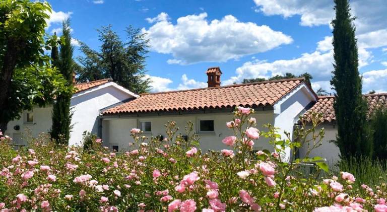Vacation home | Close to the beach | Pets are welcome in Piran