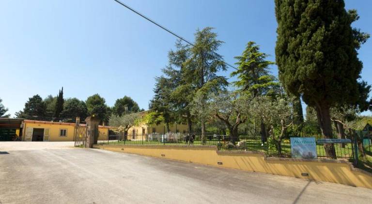 Bed&Breakfast Il Frantoio — photo 2