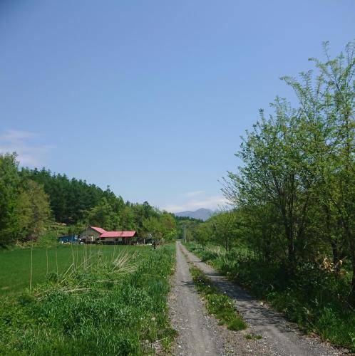 foto4