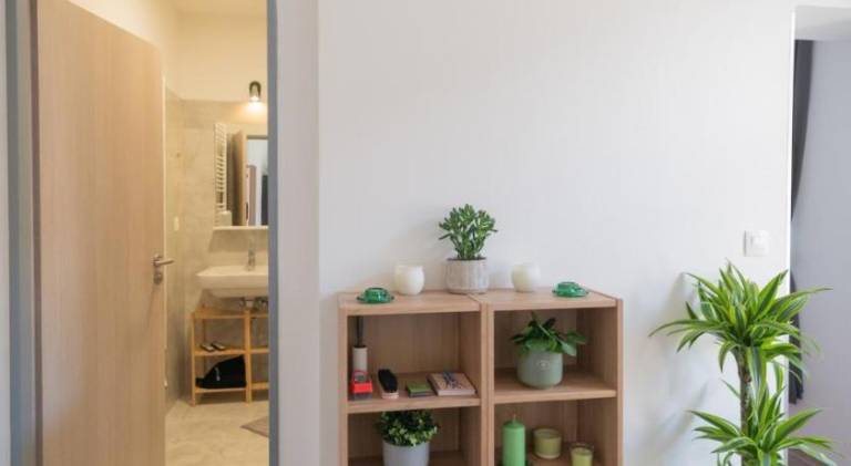 Nice rental apartment | Near Špilberk Castle | Pets allowed — photo 4