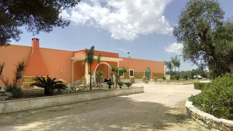 foto6