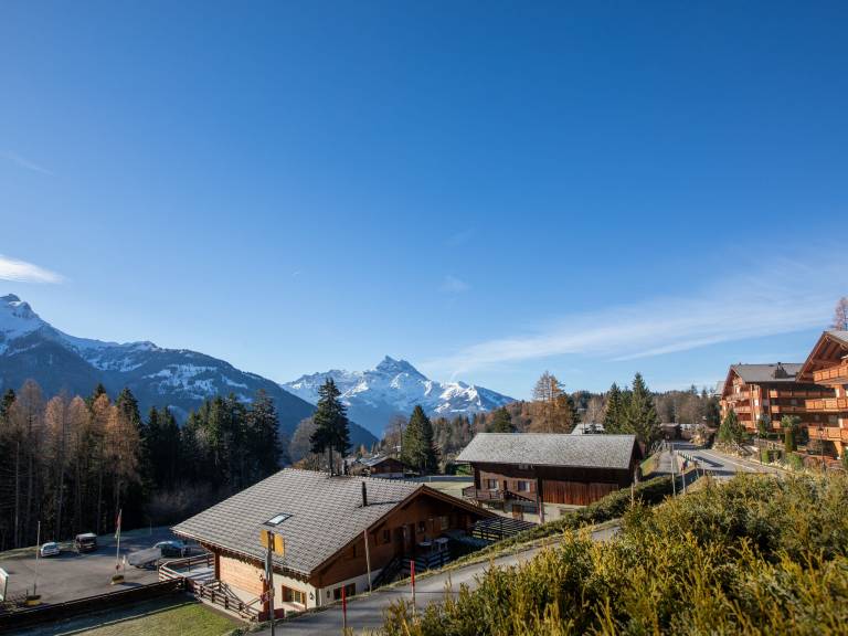 Ferienwohnung Alpe des Chaux