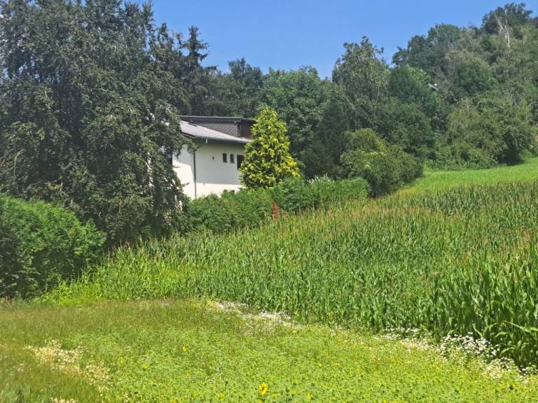 foto20