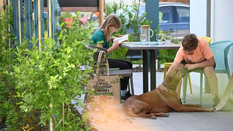 Ferienwohnung  Oberteuringen