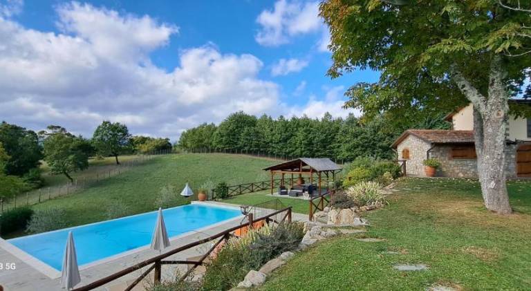 Farm with pool — photo 4