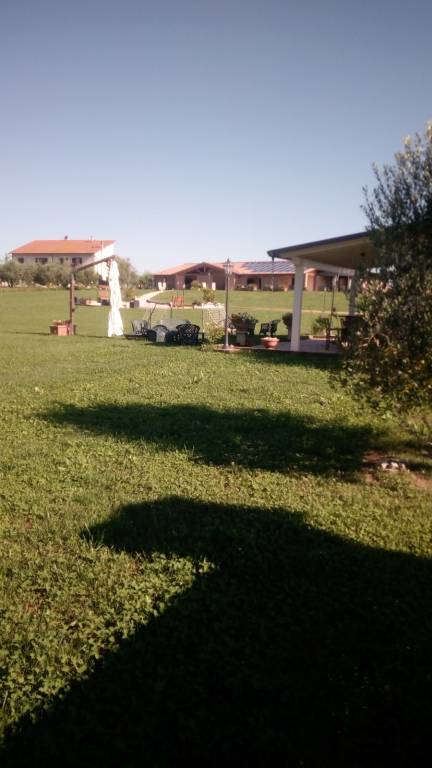 foto9