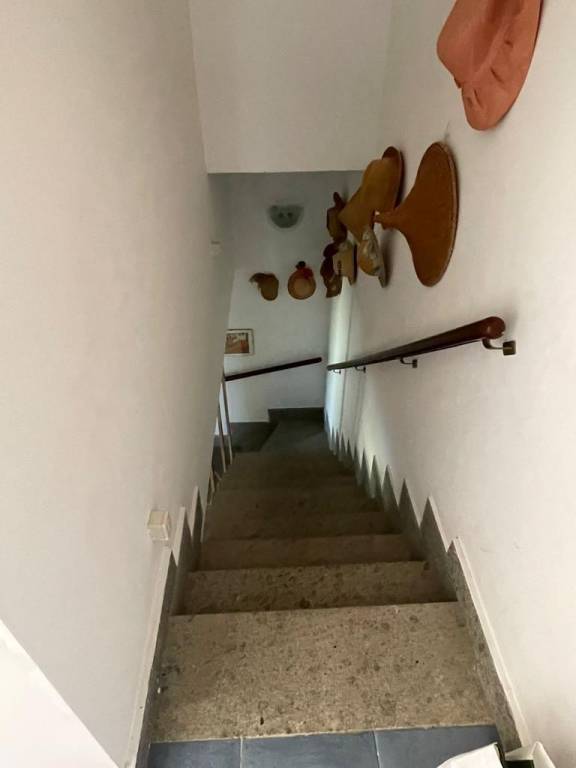 foto12