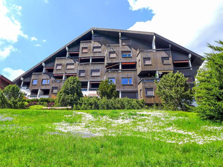 foto3