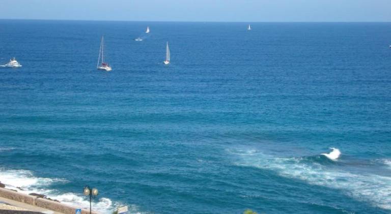 Wonderful rental apartment with pool | Close to the beach | Dogs allowed — photo 5