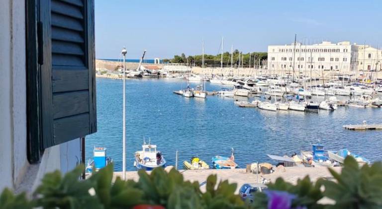 Beautiful rental apartment with pool | Dogs allowed in Andria