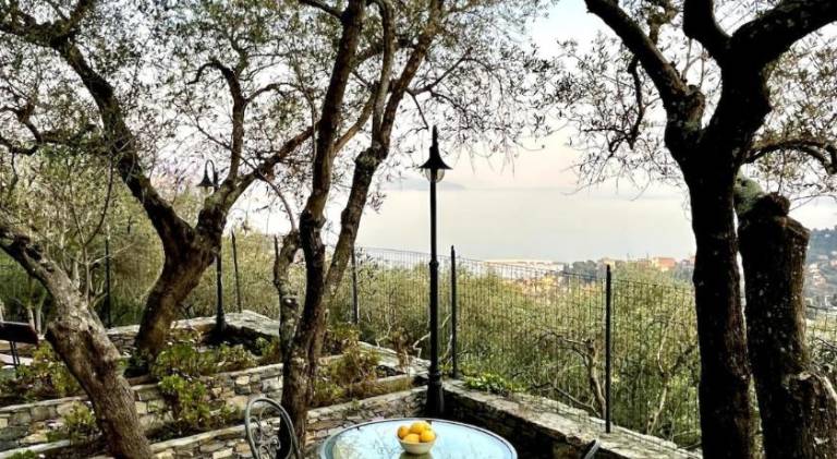 Villa Panorama with beautiful private garden — photo 5