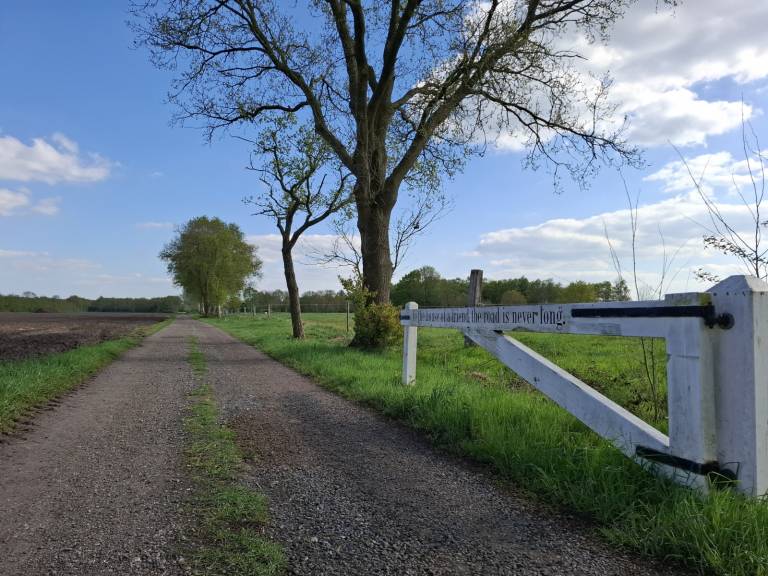 foto19