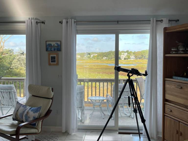 Child-friendly spacious house with BBQ | River view | Close to the beach | Pet-friendly — photo 4