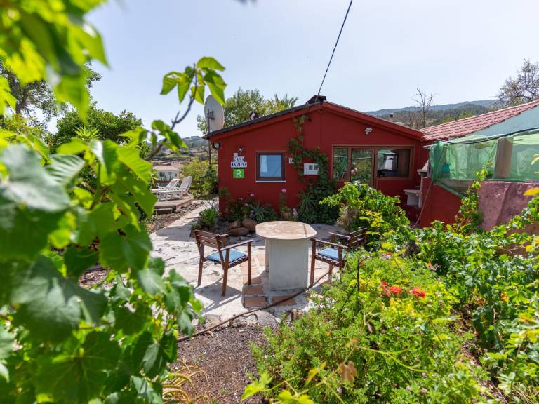 Ferienhaus mit Hund inPuntagorda, La Palma La Palma f&uuml;r max. 4 Personen